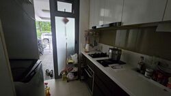 Palm Isles (D17), Condominium #567417291